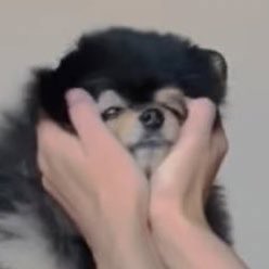 พ่อกับลูกน่ารักเหมือนกันเลย https://t.co/jJP3jHYGpK<a href="/tag/happytaehyungday"class="tags"><span>#happytaehyungday</span></a><a href="/tag/happybirthdaytaehyung"class="tags"><span>#happybirthdaytaehyung</span></a><a href="/tag/hap"class="tags"><span>#hap</span></a>