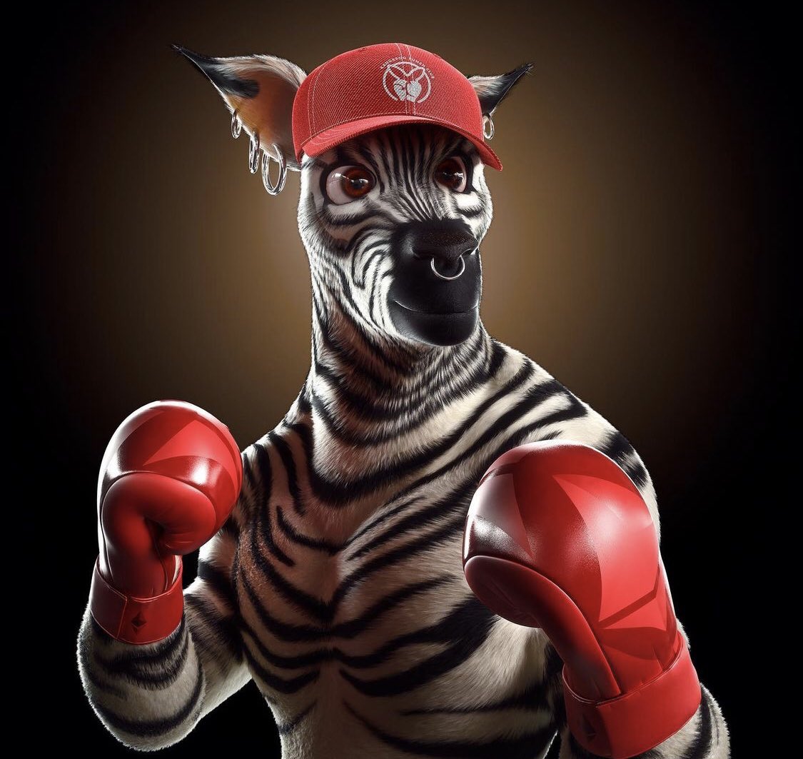 Hayden.eth tweet media