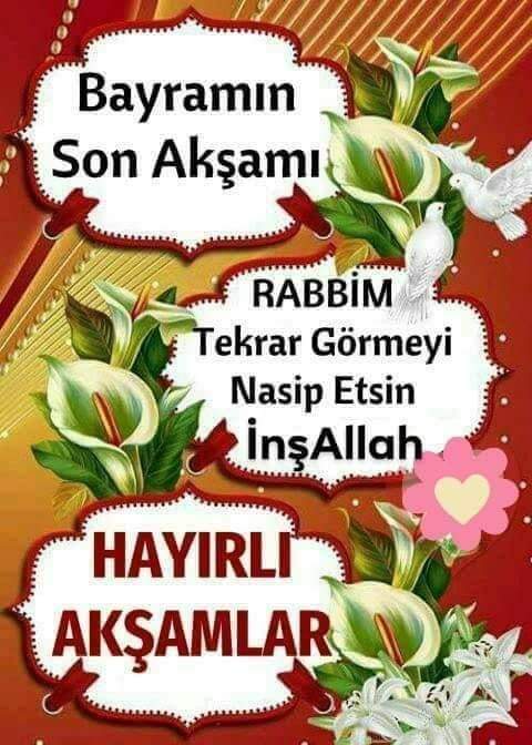 m 4 d E n L i (@madenlidogan) on Twitter photo 