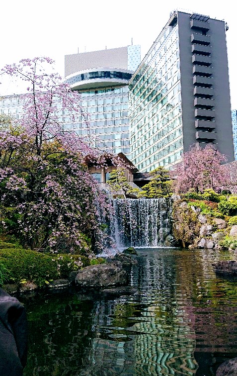 ホテルニューオータニ日本庭園 Twitter Search Twitter