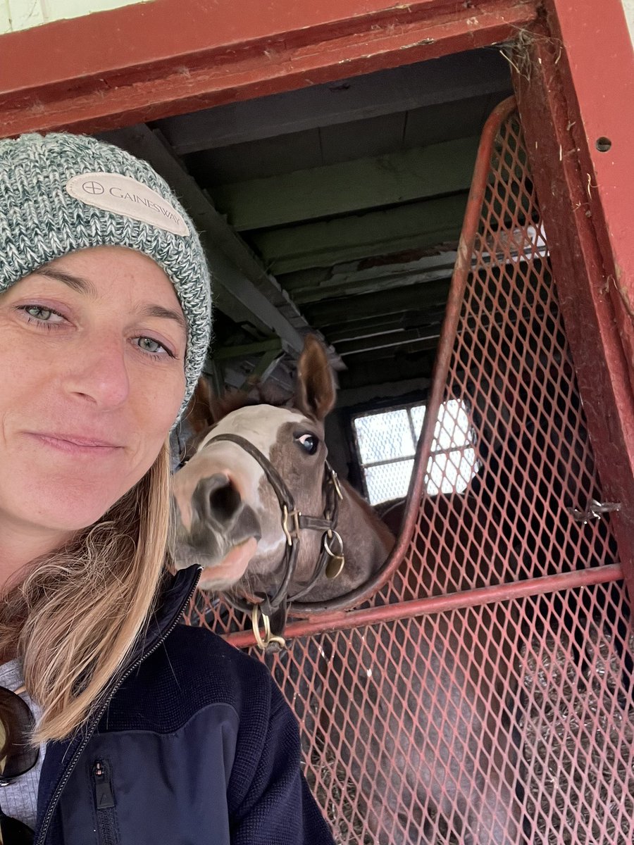 Almost got a haircut! 💇‍♀️ 🐎 Fancy Dress Party/Tapit @Gainesway