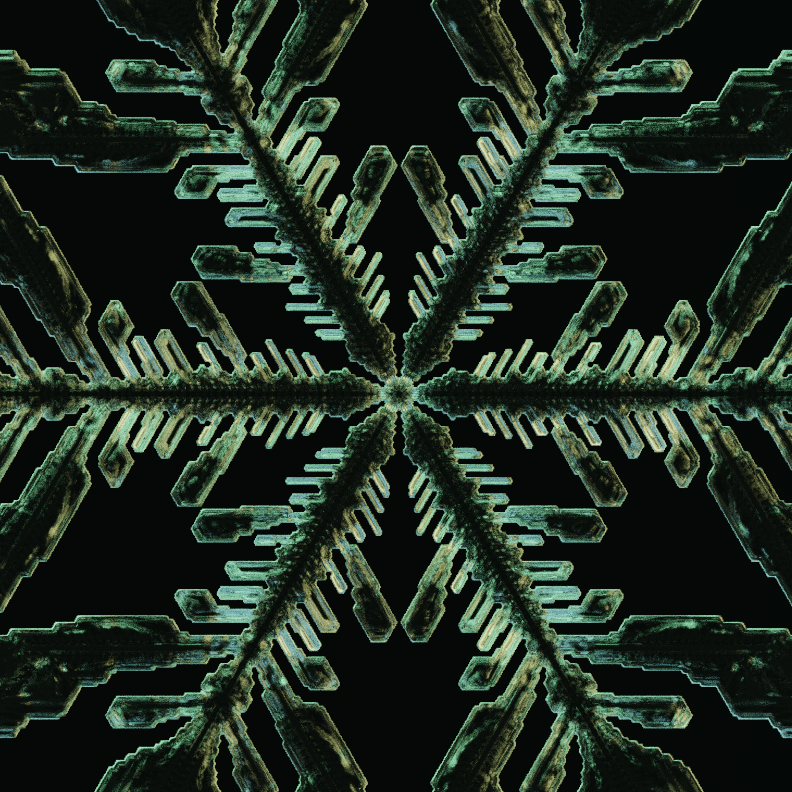 _eicxv's tweet photo. Testing continuously changing environment when growing snowflakes. Not very realistic but some interesting results. #generativeart #simulation https://t.co/Ydm4i3O9bZ