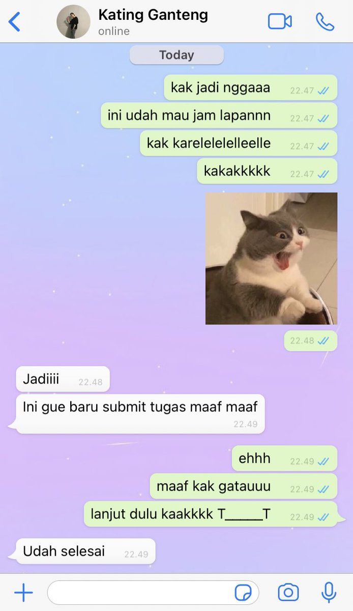 ˚☽˚.⋆ tweet media