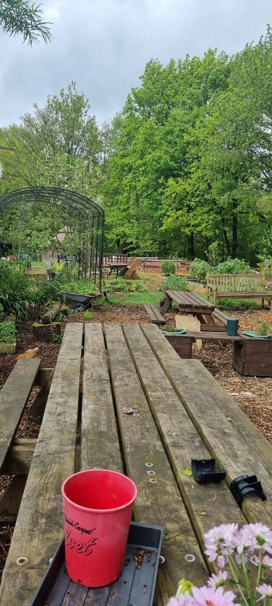 BeckyMSV's tweet photo. What a wonderful project 👏 Thanks @adamwarbrick01 for the invitation to meet at the lovely Willow Hey Project today to talk about a potential new project. A hidden gem in #bolton #MentalHealthAwarenessMonth @MSVHousing @boltonathome #mentalhealth @boltoncouncil https://t.co/luJzUOIifw
