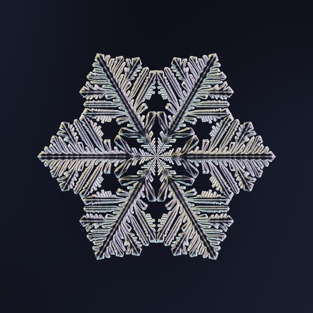 _eicxv's tweet photo. A few more. #generativeart https://t.co/iP2pp93KbR