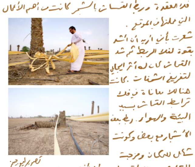 Block Universe tweet media