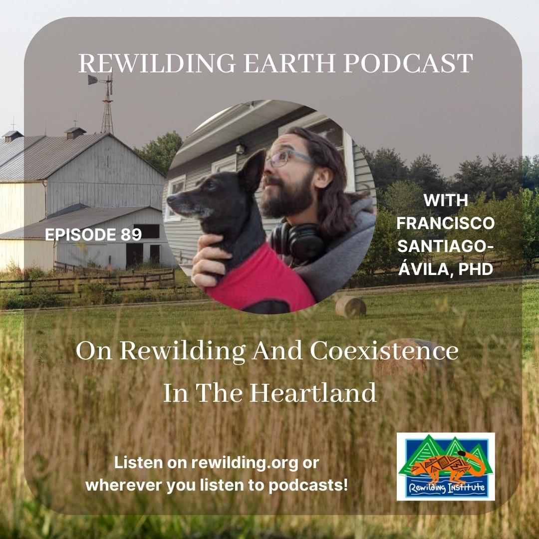 Rewilding's tweet photo. Rewilding Earth Podcast Episode 89: Francisco Santiago-Avila On Rewilding And Coexistence In The Heartland
https://t.co/s1NxokPtfj

#podcast #podcasts #heartland #coexistence #rewilding #connectivity #wildlife #wildlifecorridors #MississippiWatershed https://t.co/WgiYGRRBqG