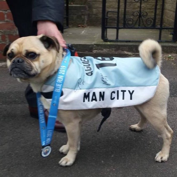 BlueWolf_09's tweet photo. Need this lad to make a comeback 😂💙 https://t.co/sZxDdnWZvX