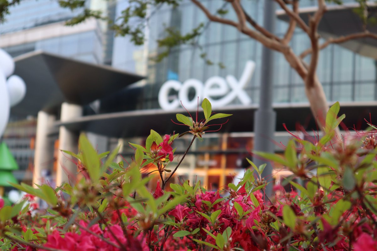 muruatetubrian's tweet image. #WFCKorea #PLTC-WFC Green Mentorship program is where all young professionals in Forestry and Environment should join to learn and network.