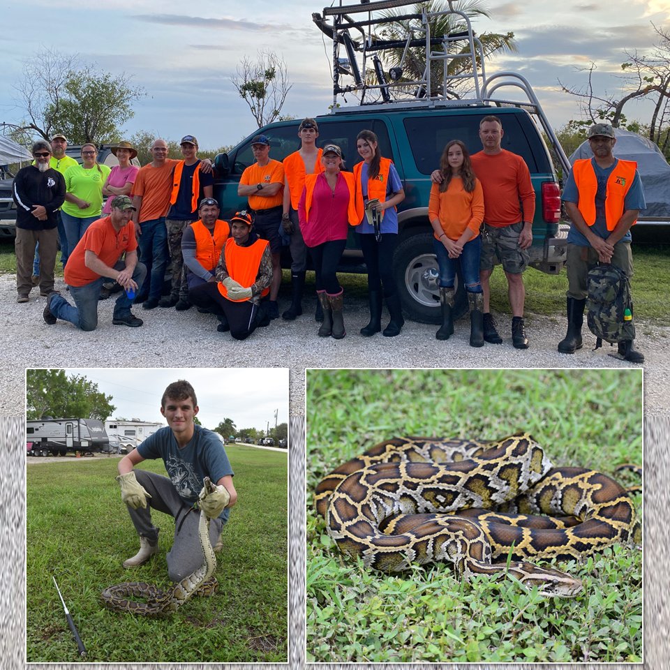 We’re hosting #Youth #Hunting Program #python hunts this summer to educate the next generation about the negative impacts of this invasive species &amp; how hunters can help: ow.ly/tZ6h50IZ2z8