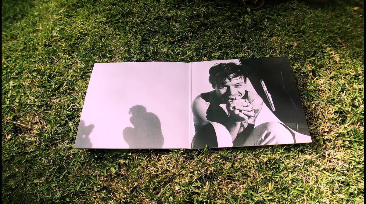 AnnaMasseroni tweet media