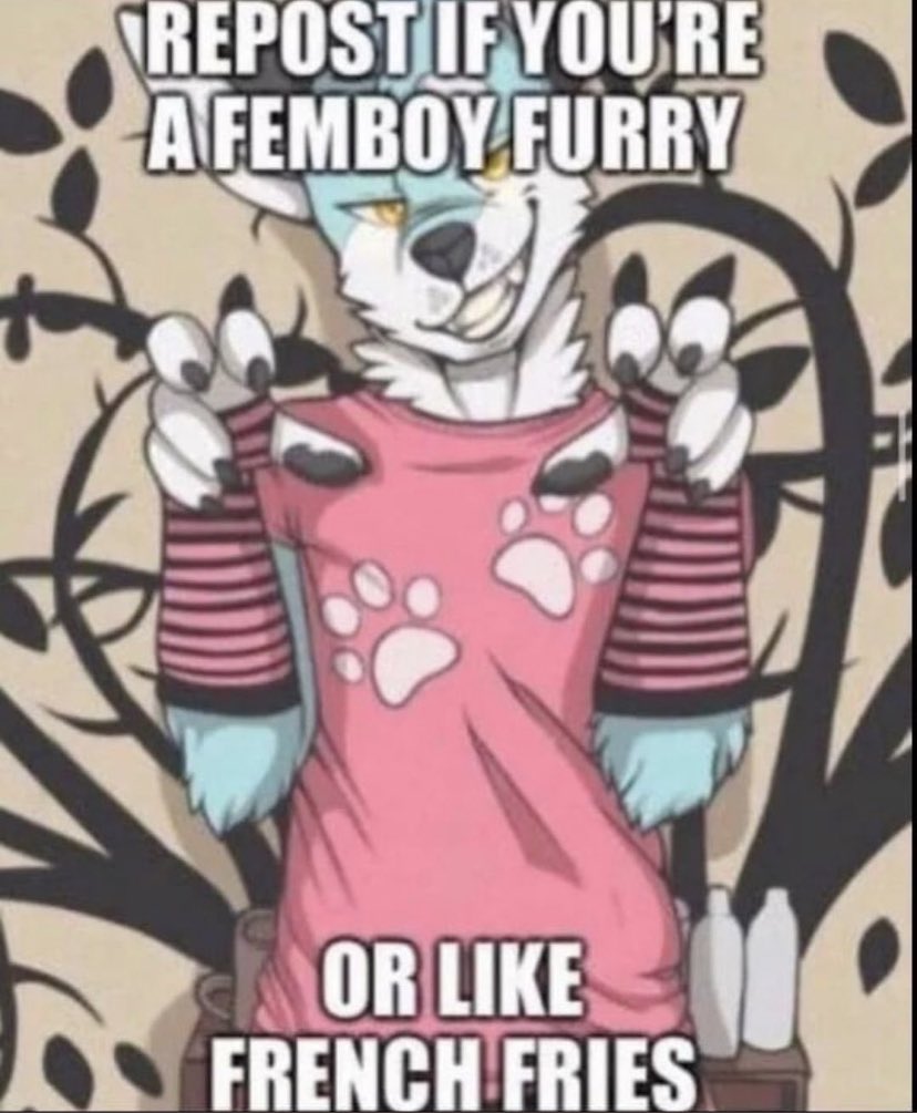 SparksTheFolf's tweet image. UwU