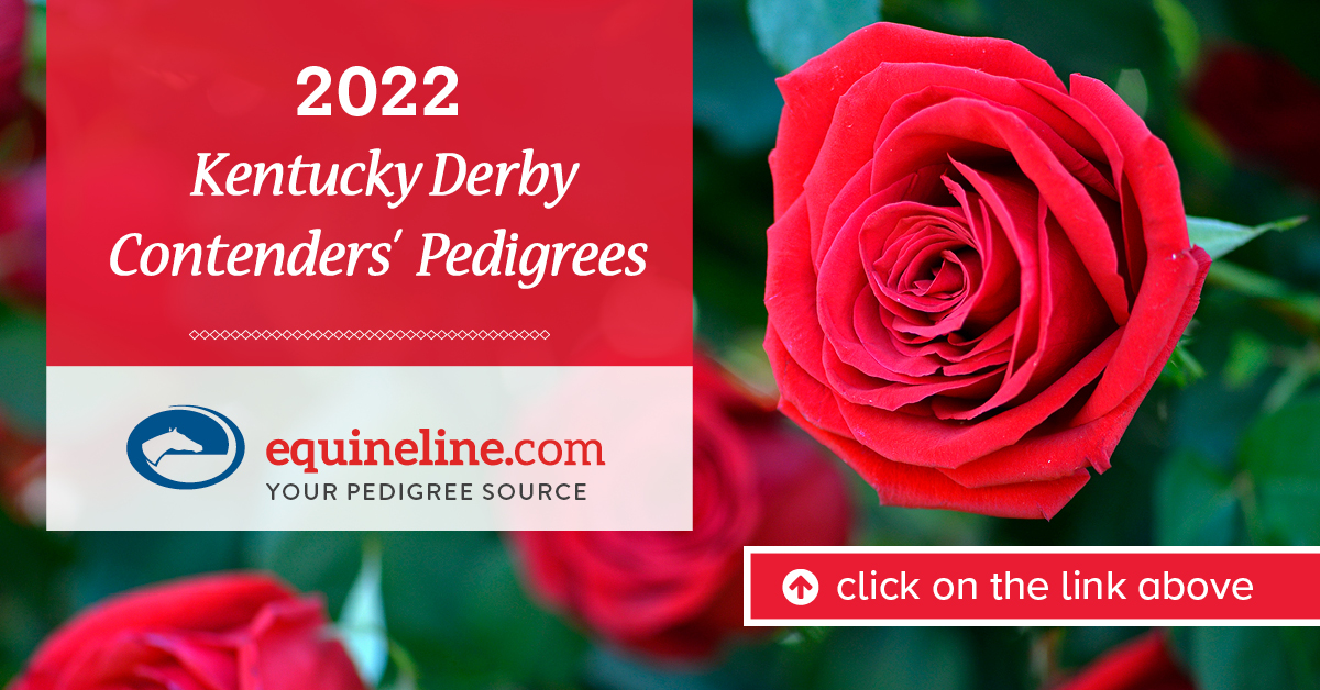equineline's tweet image. We welcome you to enjoy and share this equineline Pedigree Binder of the 2022 Kentucky Derby contenders’ pedigrees and race records! 
bit.ly/eqlDerby22