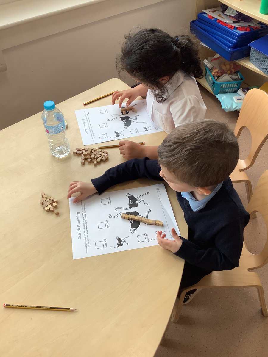 MissHallidayCVP's tweet photo. Today we have been learning to measure. We have also been comparing different sizes. Ask us to tell you things that are tall and small. @CanalViewPSEdin https://t.co/yGbuCtp1pR