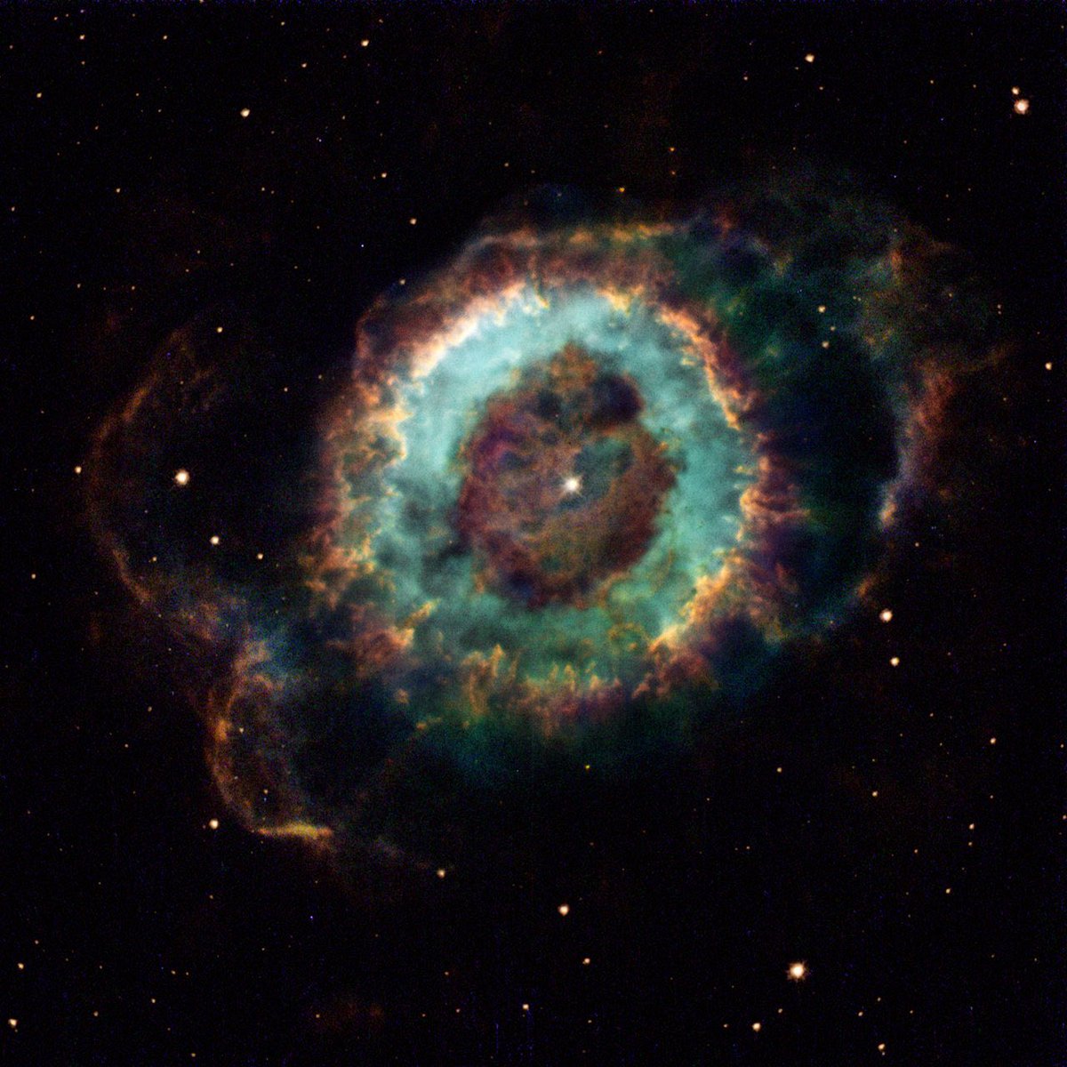 redditSpaceView's tweet photo. The Little Ghost nebula https://t.co/IRv68Zn5YB
