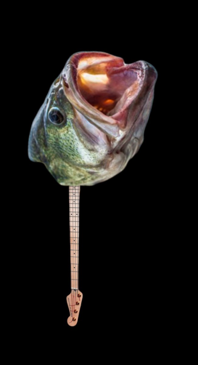 MiraBaliga's tweet photo. it’s a bass https://t.co/lSZlMlk5iw
