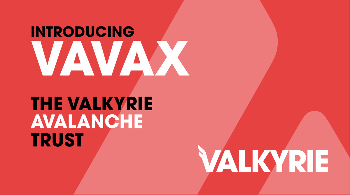ValkyrieFunds's tweet photo. We're excited to partner with @avalancheavax to launch the Valkyrie Avalanche Trust today! Gain secure access to $AVAX within the ease of a trust vehicle.
Learn more below 👇 https://t.co/UvpnDId0ln