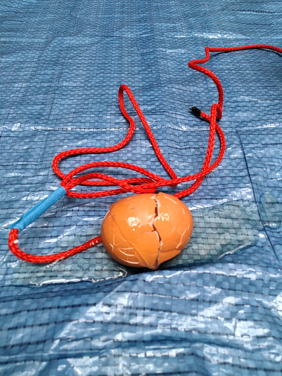 Notre projet. L'œuf est bien arrivé à destination. Pas comme ça. 😈