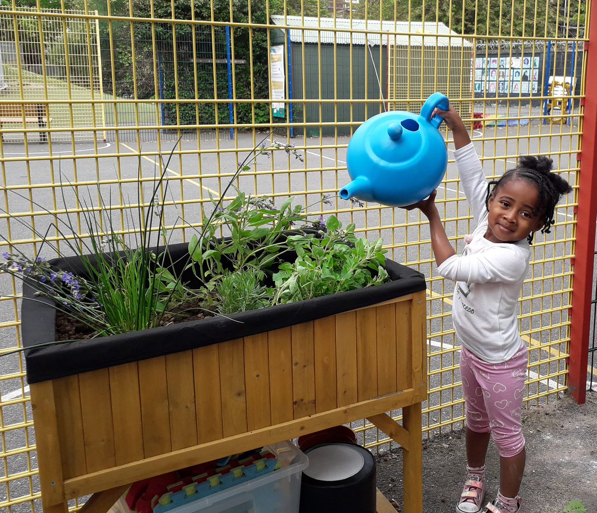 EdibleSE16's tweet photo. Who needs a watering can when you have a teapot ! New nursery biodiversity area @SurreySqSchool  is coming along great and being used for food growing &amp; storytelling. 🦋🐞🥔🥬
👏👏 @TeamLondonBdg 
@ArnoldClark 
#edibleschoolgarden
#Enjoyment 
#newskills
#WellbeingWednesday https://t.co/tzfWpx1y4c