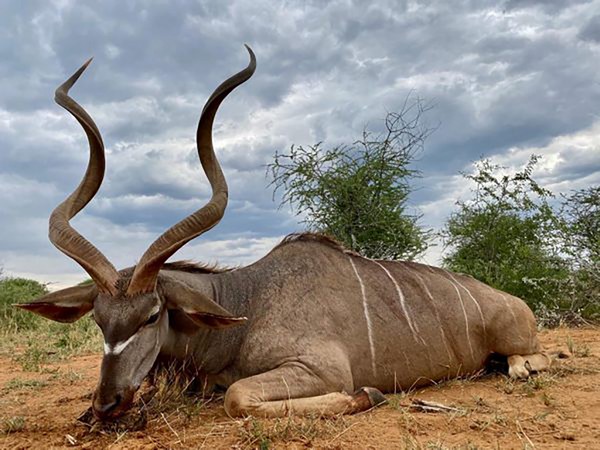 Si se te ha pasado por la cabeza irte de safari este verano, queremos ayudarte. Por ello te traemos las ofertas destacadas de la semana del buscador de caza Huntts.com
En este caso se trata...

bit.ly/3kCK0DR