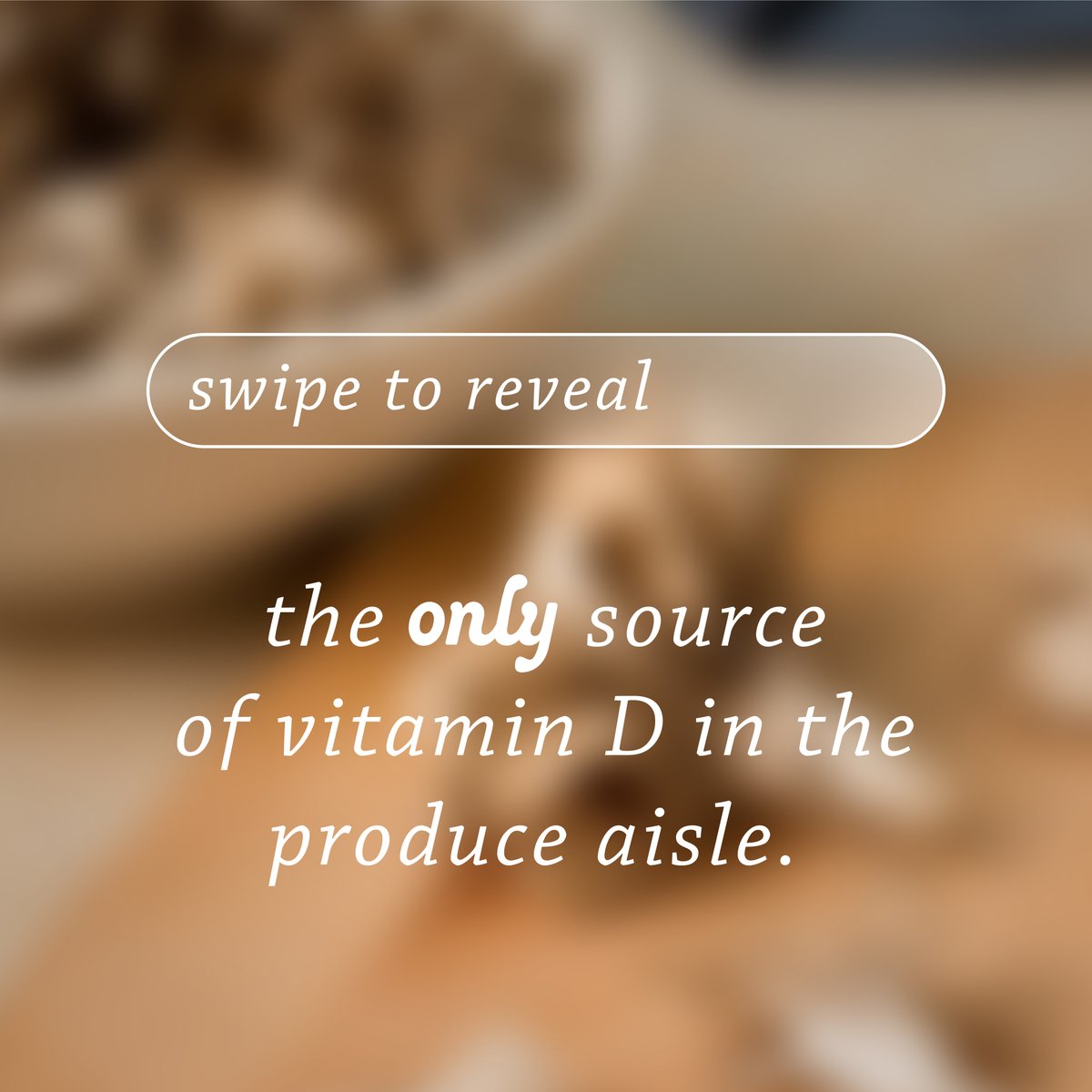 MushroomCouncil's tweet image. ICYDK: Mushrooms are the only food in the produce aisle with the ability to increase its vitamin D levels through exposure to UV-light or sunlight.

Add MORE mushrooms to your diet and boost those vitamin D levels. ☀️🔄🍄

bit.ly/3vNJw2X