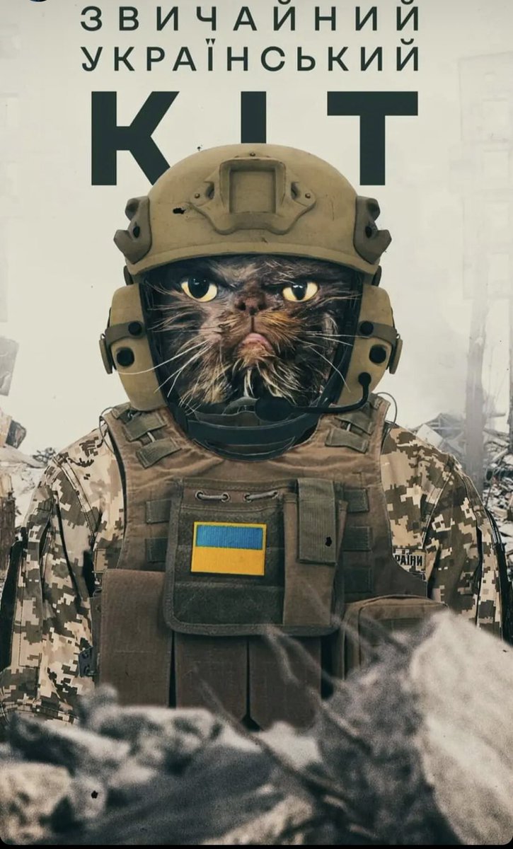 UAarmy_animals's tweet photo. Ukrainian cats today 😂😂😂 https://t.co/81l6AzgTwj