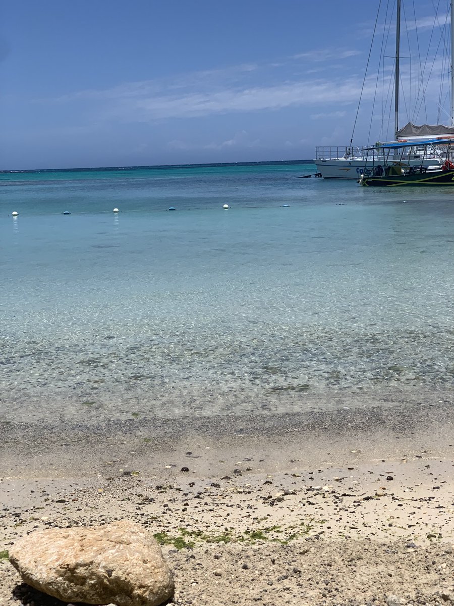 ynwajamaica's tweet photo. The aftermath of showing that we are THE mentality monsters #chillingwithmytwin #liverpooltravelbag #OchoRios #beachsettings #ynwa https://t.co/lCzN53ENpl