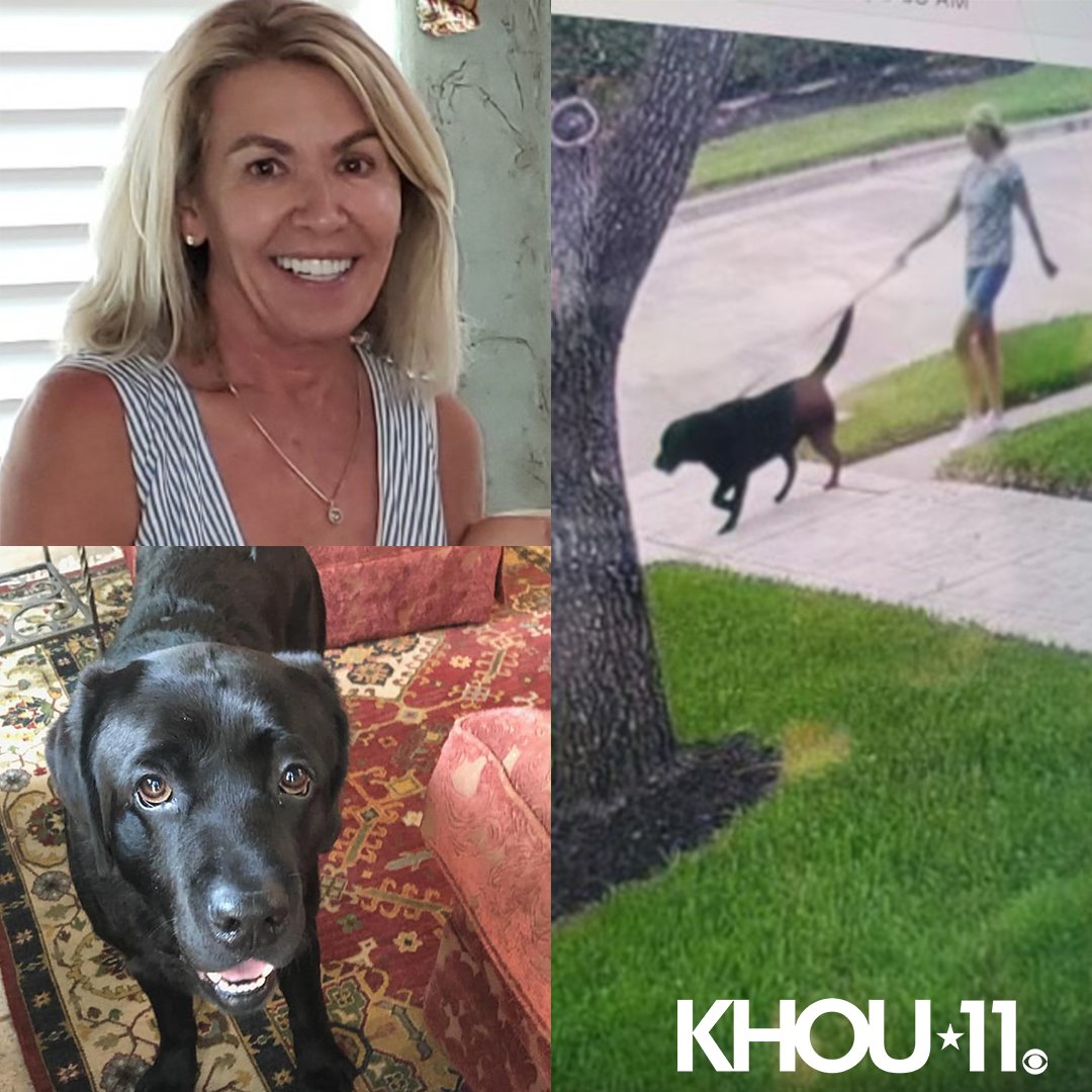 PLEASE SHARE! A search is underway for a missing Katy woman who was last seen walking her dog near George Bush Park khou.com/article/news/l…