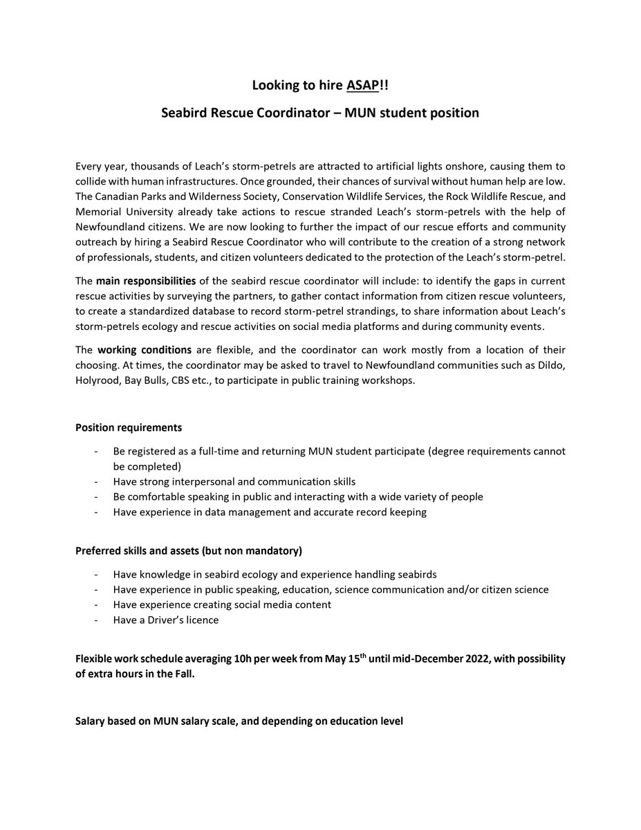 MUN_EDGE's tweet photo. Check out this MUN Student Position: Seabird Rescue Coordinator! A resume, cover letter and proof of enrolment should be sent to fcletaro@mun.ca. See full details⤵️ https://t.co/3PPfplwwSA