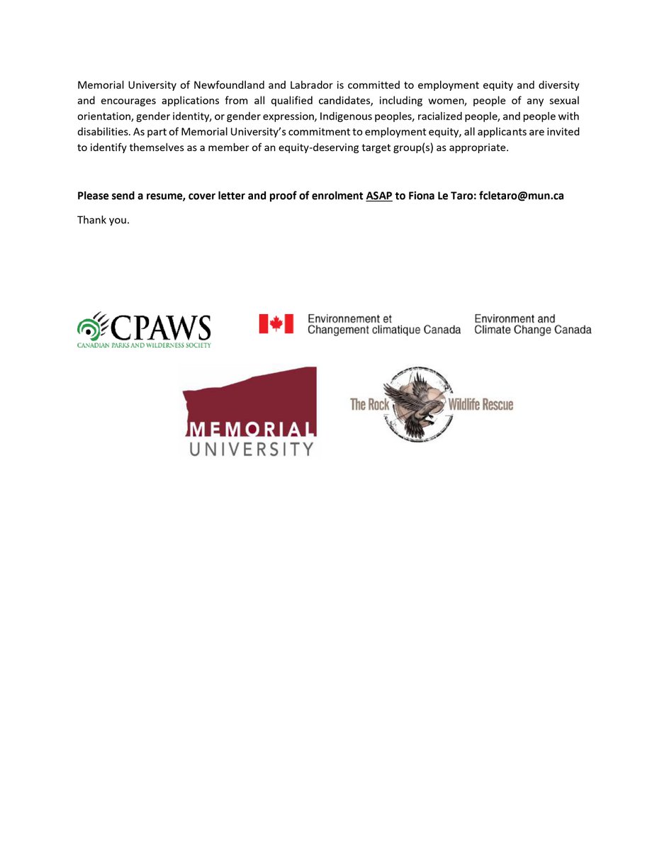 Check out this MUN Student Position: Seabird Rescue Coordinator! A resume, cover letter and proof of enrolment should be sent to fcletaro@mun.ca. See full details⤵️