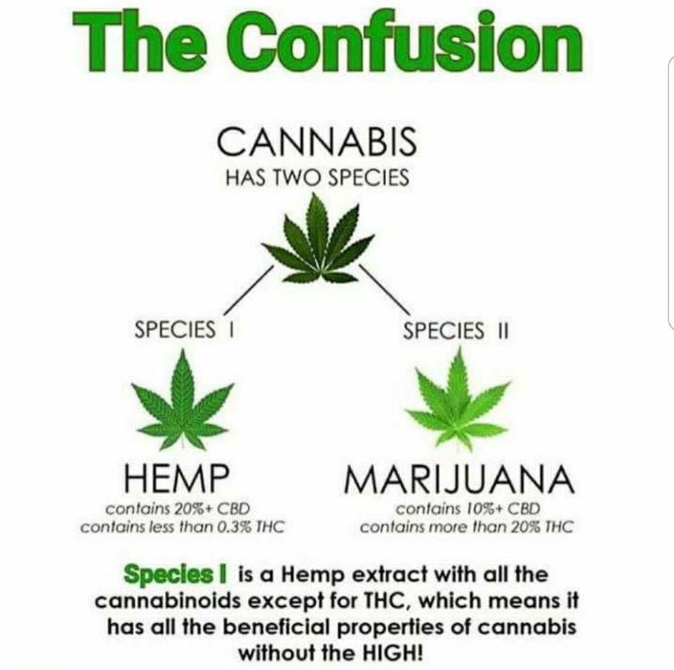 PureCanna's tweet photo. 🔥 Do you know the difference between CBD and Marijuana? 
https://t.co/EXnRhUHnZe 🔥 SAVE 15% With Coupon Code "Get15" 🔥 https://t.co/z7WSWUrfDj