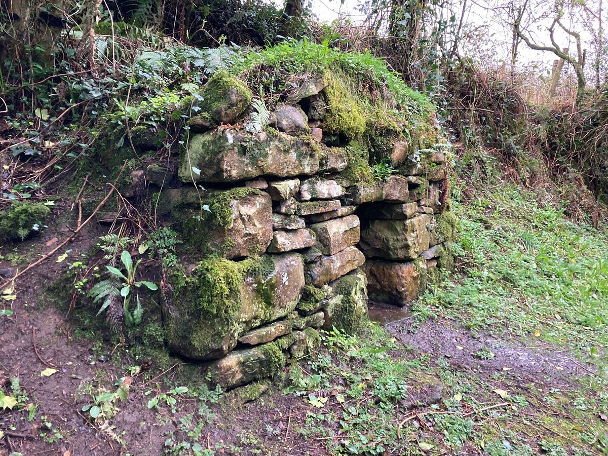 leitrimcoco's tweet photo. The @LSweathouse Project is about to recommence in 2022 for its second year and we need volunteers to undertake archaeological field surveys of #Sweathouses. No experience necessary as all training will be provided. For more info visit: https://t.co/wEsvxxNlmZ 
#Leitrim https://t.co/EFqrqCNDEu
