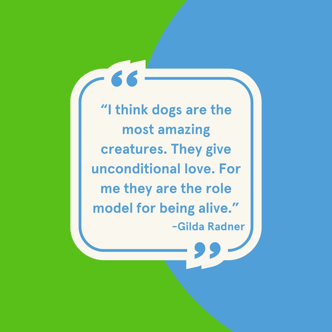 CleanBowlClub's tweet image. Words of wisdom! #cleanbowlclubnyc #doglove 
#doglovers #doglife #dogstagram #gildaradner