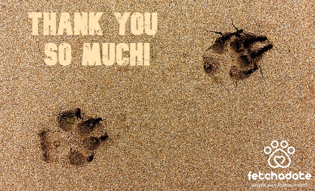 OHDogPark's tweet photo. @NoirandQuint @FetchaDateApp https://t.co/M8LUXcrT3Z