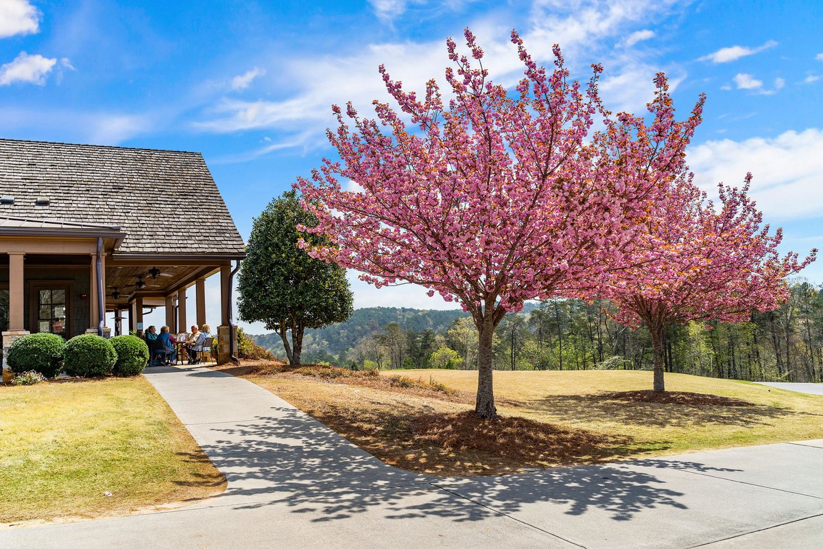 LakeArrowheadGA's tweet photo. Beautiful spring days are upon us ✨
#lakearrowhead #lakearrowheadga #springdays #northgeorgia #northgeorgiamountains #masterplannedcommunity #golfcommunity #mountaincommunity #gatedcommunity #hellospring https://t.co/GYLKnIjn7a