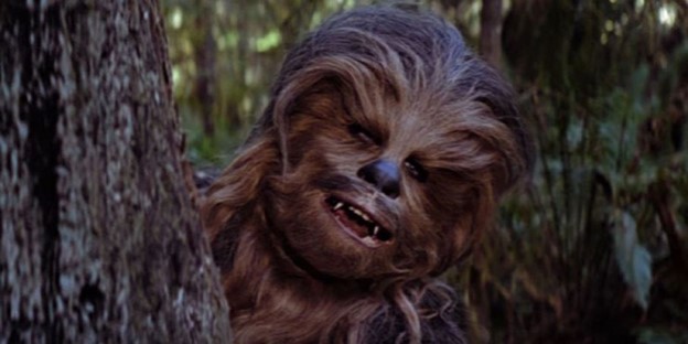 May the Fourth be with you! Did you know that crewmembers were worried Chewbacca would be mistaken for a bear, or Bigfoot, while they were filming “Return of the Jedi” in the California redwood forest? The crew wore brightly colored vests to chaperone Peter Mayhew. #MayTheFourth https://t.co/JRt3Wu7fob