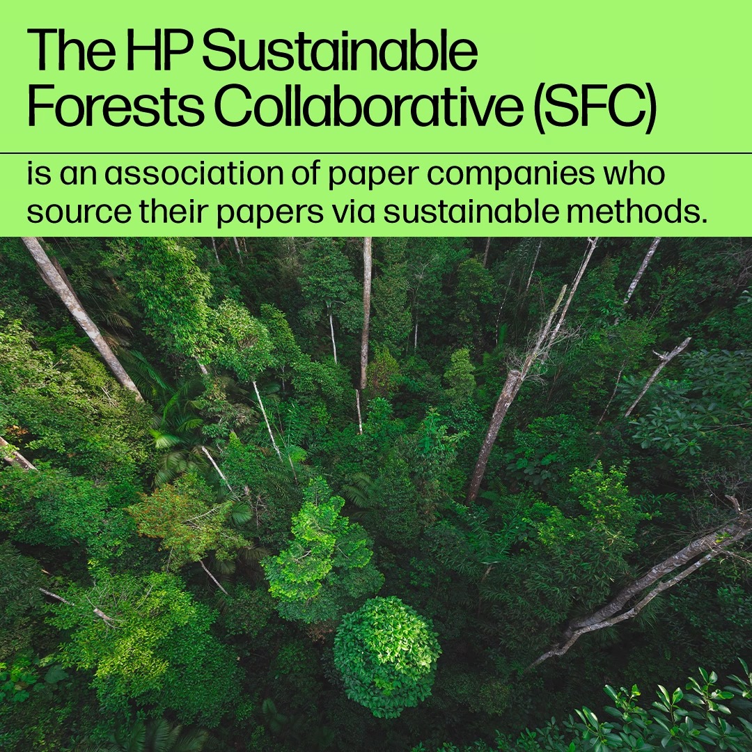 Image for the Tweet beginning: The @HP Sustainable Forests Collaborative