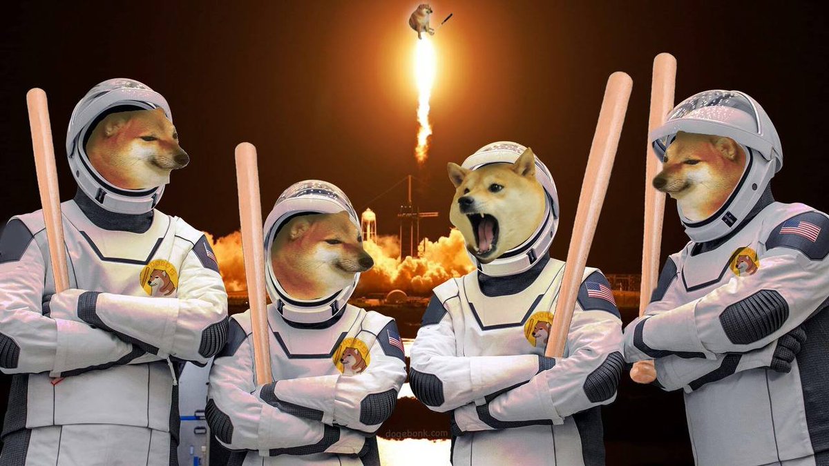 Team #Doge #Bonk 
#memes #memecoin #altcoins