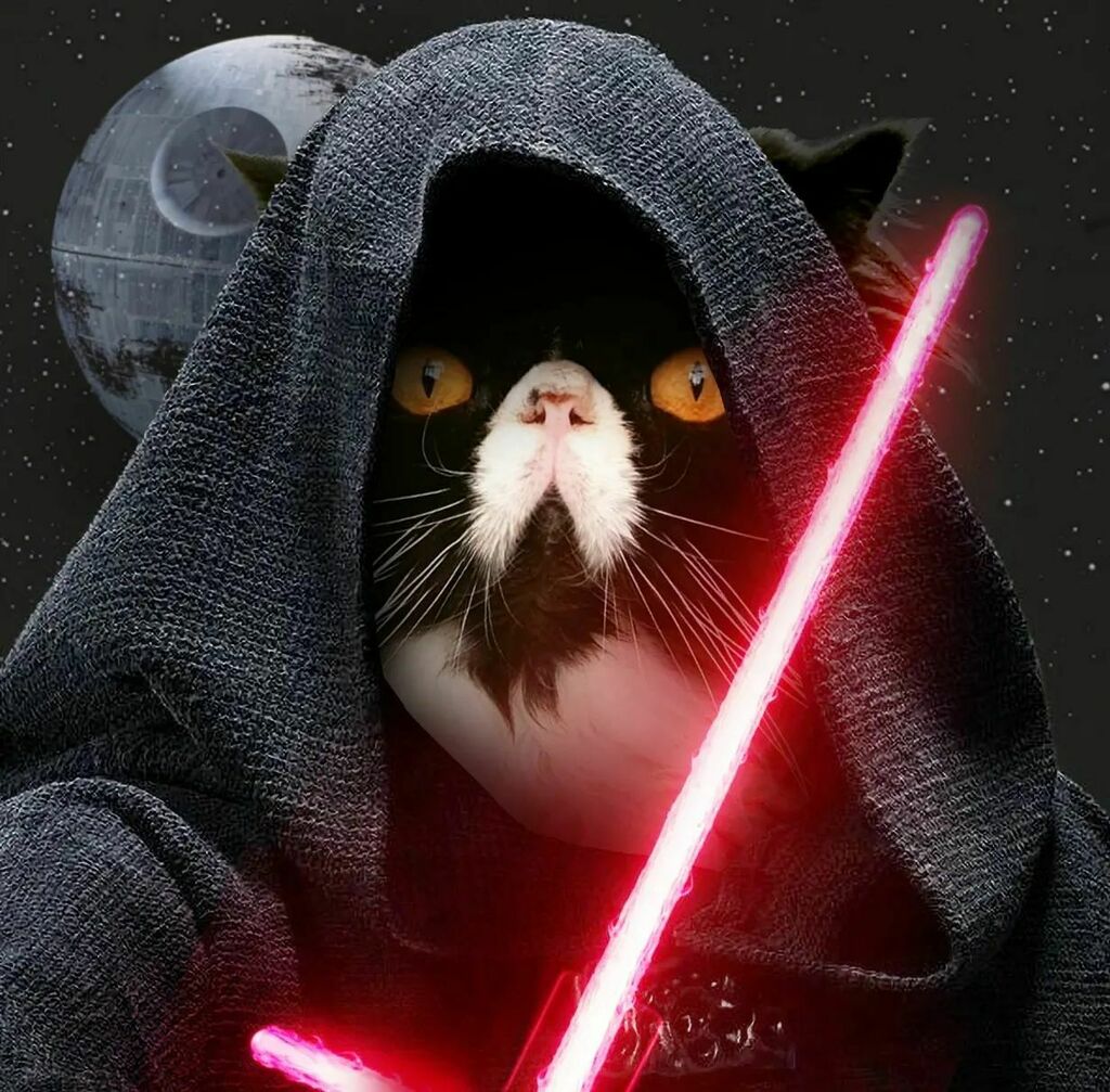 doronwolf's tweet photo. Down inside I always suspected @krembothefluffycat is a #sithlord 😱😉!
Have a great star wars day✨ and May the force be with you 🌠🙏
.
.
.
.
.
#palpatine #maythe4thbewithyou #maytheforcebewithyou #starwars #cats #catsofinstagram #starwarscat https://t.co/6xeepojhbh https://t.co/niYBfmObAz
