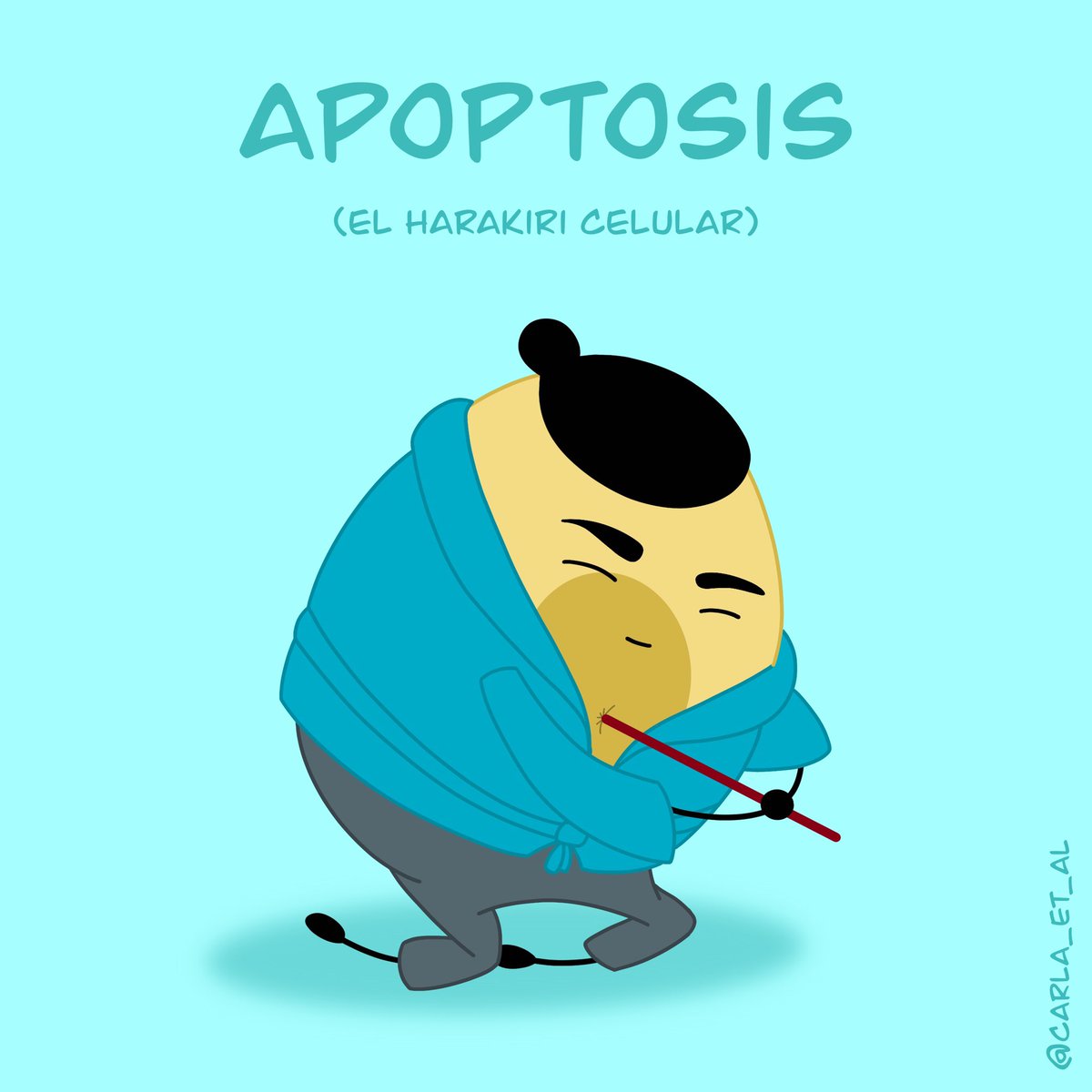 Carla Serra tweet media