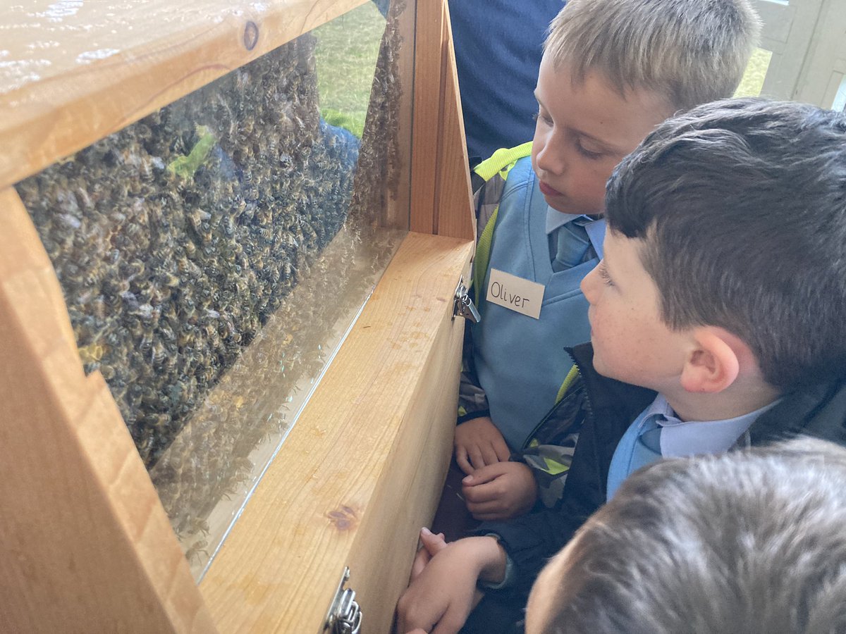 LizLEAF2's tweet photo. Huge thanks to @RagleyHall for hosting an amazing farm visit for @olcalcester today! @LEAF_Education are so proud to work with LEAF Education Demonstration Schools to inspire the next generation to take an interest in food, farming and the natural environment ! 🚜 🌾 🐄 🐑 https://t.co/dCOoD35p4e