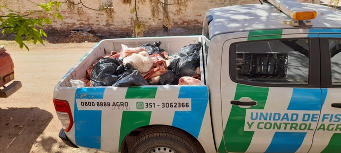 Como resultado se constató que tres establecimientos comerciales no se encontraban habilitados para estas actividades, y tampoco tenían las mínimas condiciones higiénico-sanitarias para asegurar la salubridad de los alimentos.
