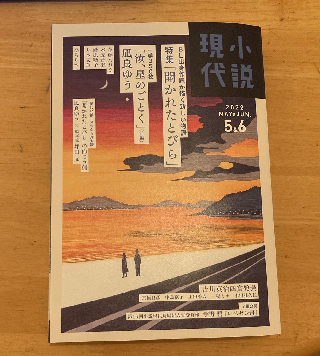 【お仕事】
小説現代 5・6月号(講談社)にて、君嶋彼方さんの読み切り「走れ茜色」の扉絵を担当しました。
駆け抜ける二人のラストに注目です。 