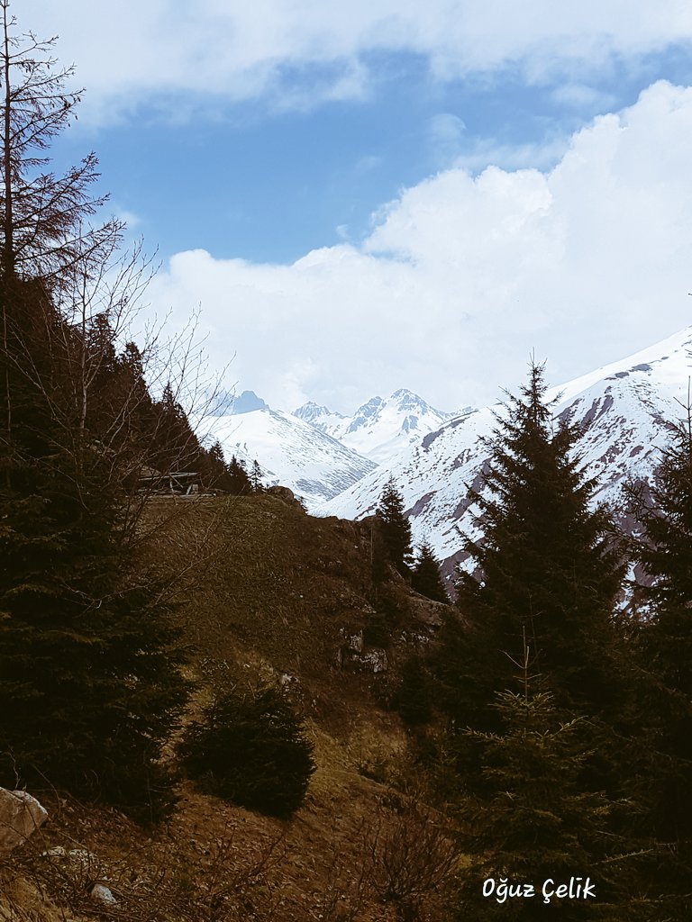 oguzcelik0853's tweet photo. BuRaLaRDaYıM
#kaçkardağları #rize #türkiye
#huser #avusor #ayder https://t.co/1X4sfvldzx