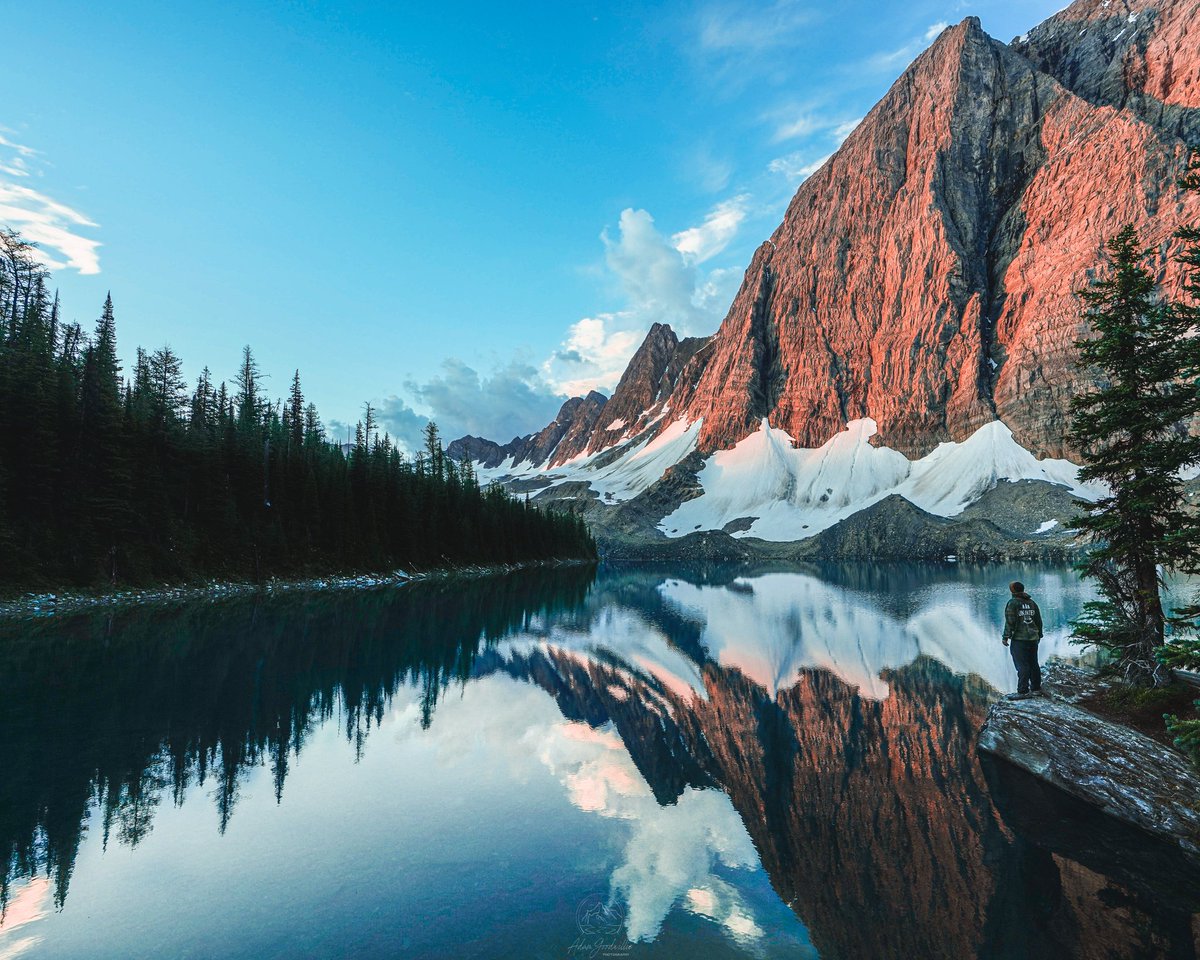 Adam Goodwillie tweet media