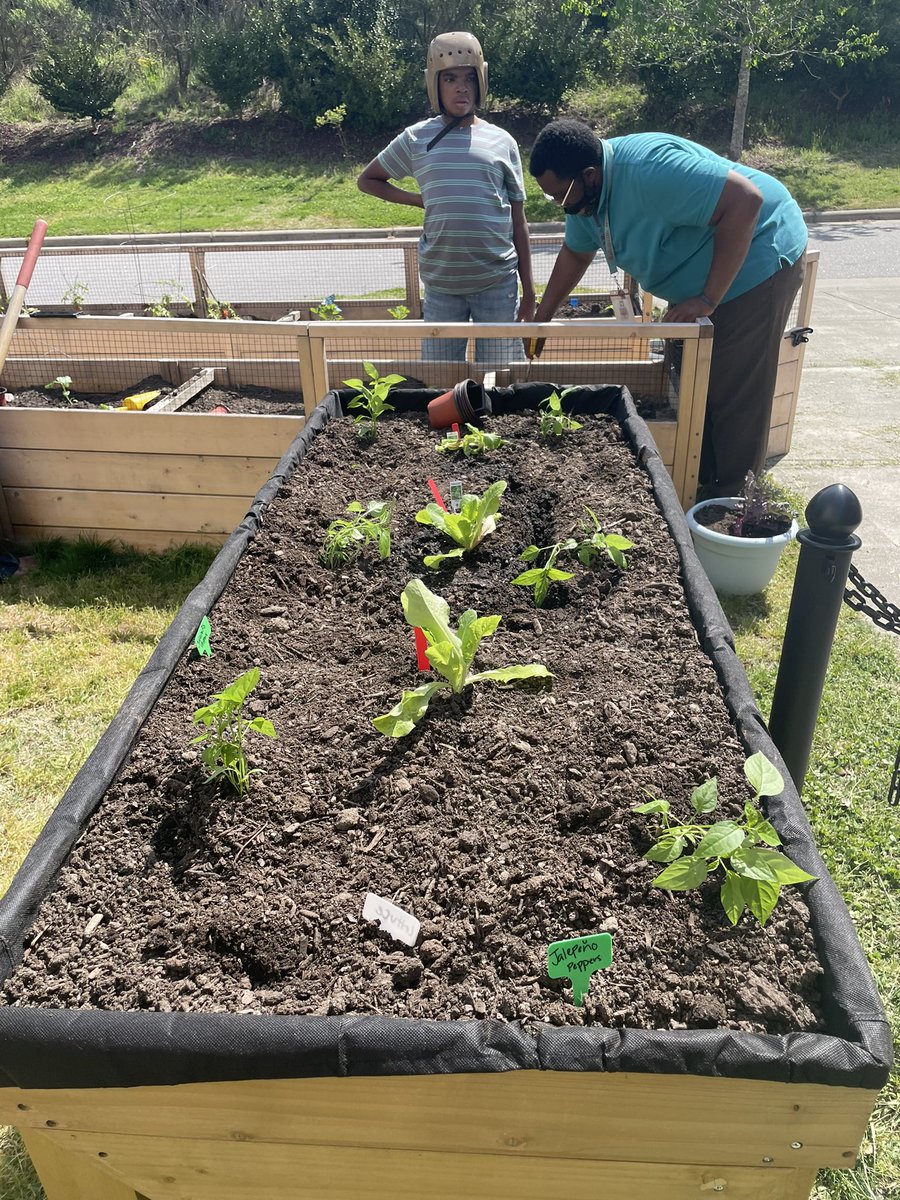 Jess Hardy tweet media