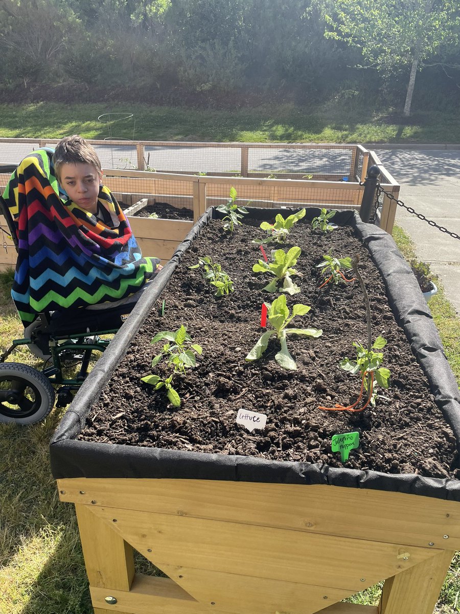 Jess Hardy tweet media