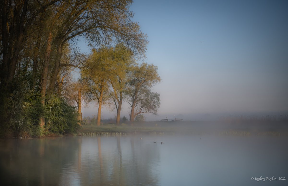 Ingeborg Ruyken tweet media