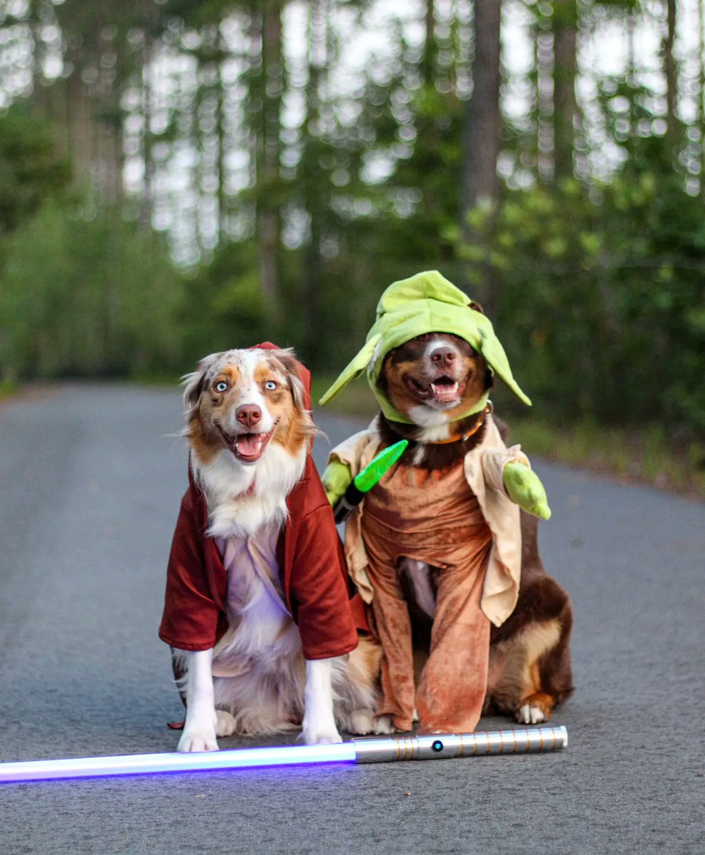 SamoaAlaska's tweet photo. May the Fourth be with you, Twitter

#MayThe4thBeWithYou #StarWarsDay #yoda https://t.co/4OYjR8WWYK