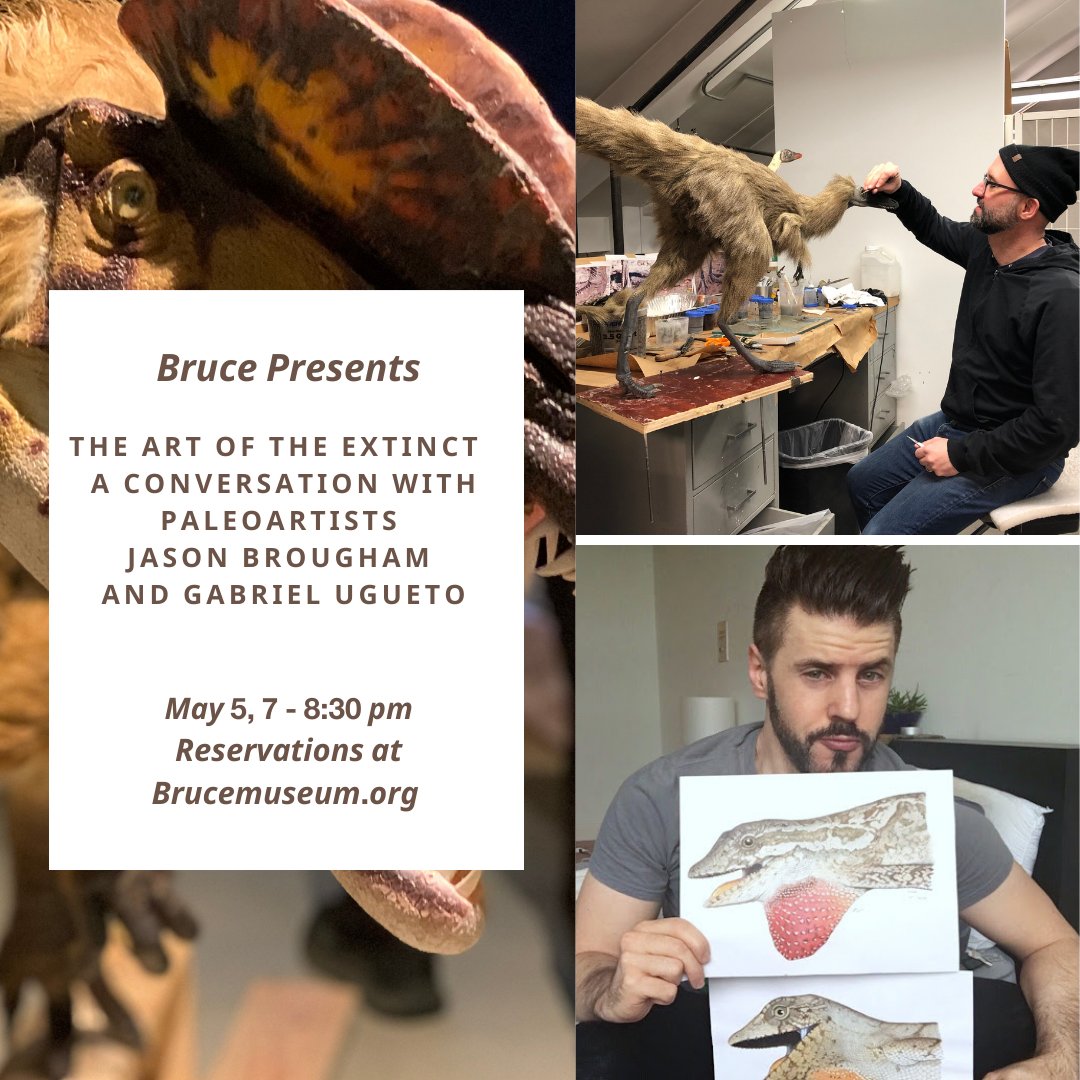 Join us tomorrow evening for The Art of the Extinct 🦕⁠
⁠
A Conversation with Paleoartists Jason Brougham and Gabriel Ugueto ⁠🦖⁠

#Paleoart #PrehistoricArt

More info and reservations...
⁠
brucemuseum.org/calendar/event…